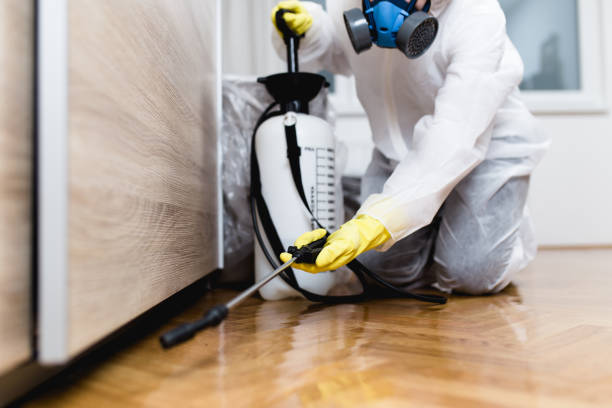 Best Affordable Pest Control Services  in Deerfield, IL