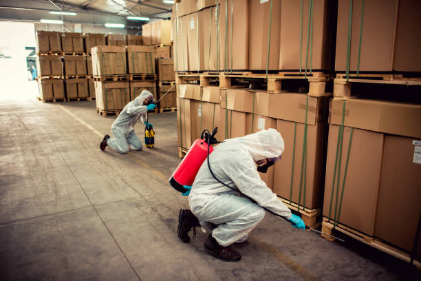 Best Ant Control Services  in Deerfield, IL