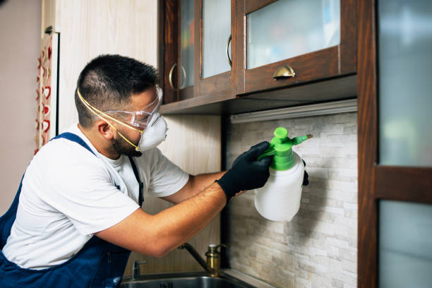 Best Spider Control Near Me  in Deerfield, IL