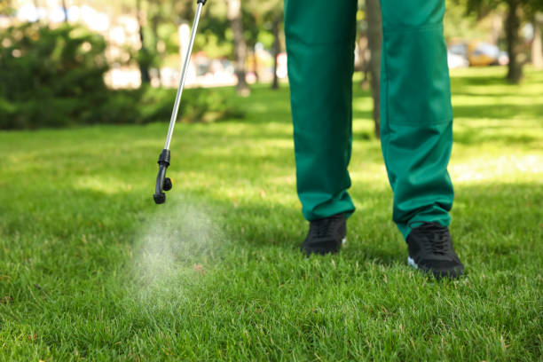 Best Pest Removal Services  in Deerfield, IL