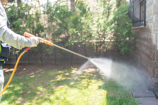 Best Pest Control Near Me  in Deerfield, IL