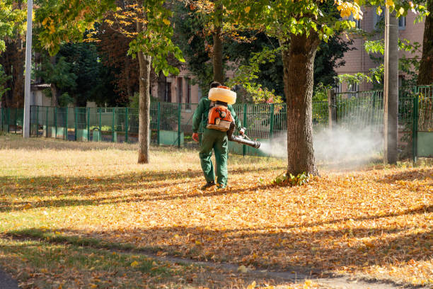 Best Affordable Pest Control Services  in Deerfield, IL