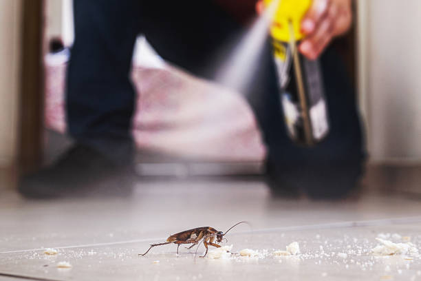 Best Residential Pest Control  in Deerfield, IL