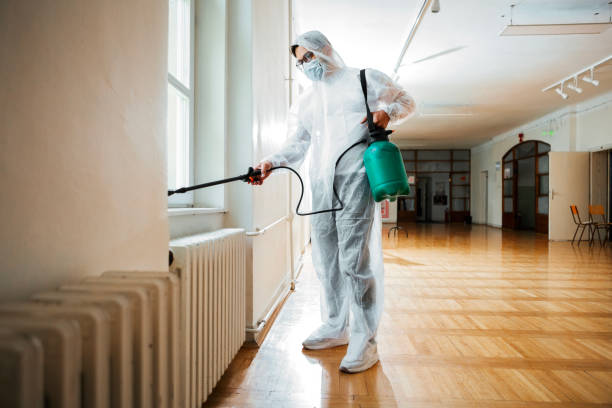 Best Flea Control Services  in Deerfield, IL