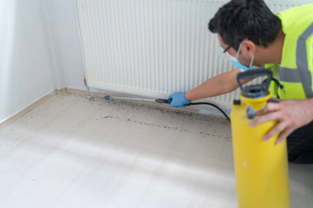 Best Wasp Removal Services  in Deerfield, IL
